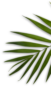 Best Nail Art Salon in Arekere Bangalore