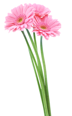 Nail Art Salon In Arekere Bangalore 3 Flower 1 9